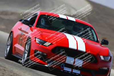 media/Sep-13-2025-Speed Ventures (Sat) [[d6c7200295]]/Purple/Session 2 (Phil Hill)/